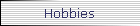 Hobbies